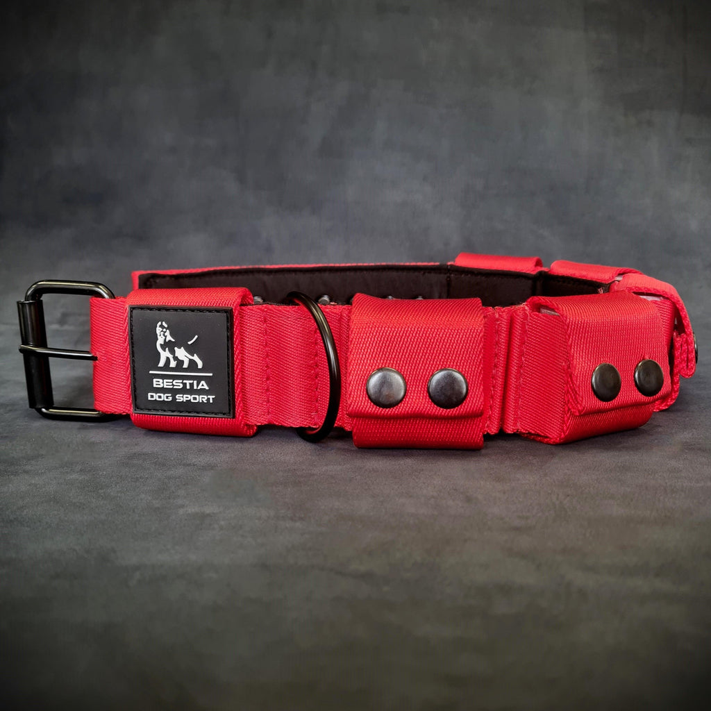 Weighted dog training collar- Red. Large breeds. 5 lbs total. removable weights