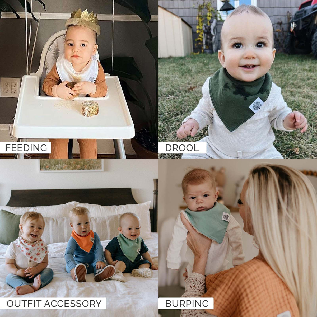 Butterfly Bandana Bib Set (8 pack)