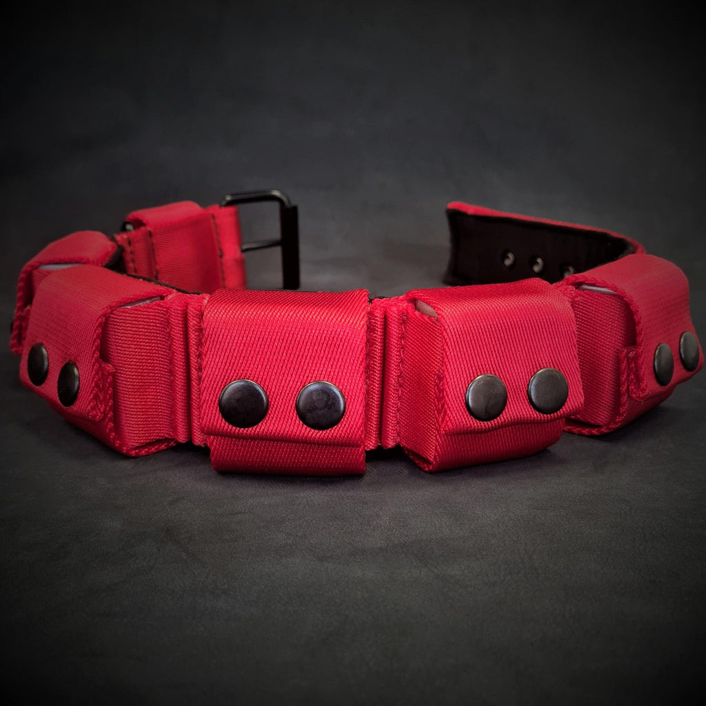 Weighted dog training collar- Red. Large breeds. 5 lbs total. removable weights